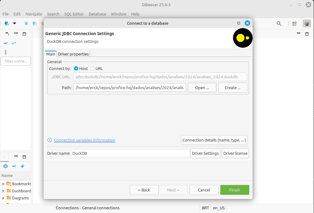 Print de tela do diálogo &ldquo;Diálogo: Connect to a database, Etapa: Generic JDBC Connection Settings&rdquo;. Existem duas abas, Main e Driver properties. A aba Main está selecionada. A opção Host está selecionada e no campo Path, um nome de arquivo está informado.